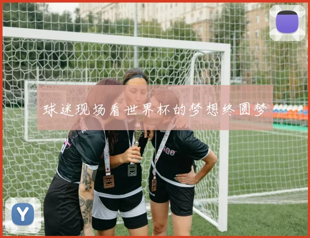 球迷现场看世界杯的梦想终圆梦