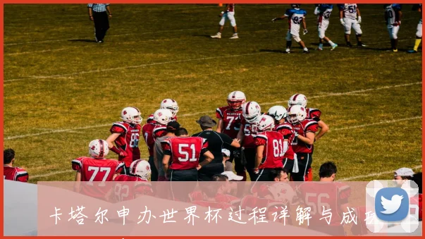 卡塔尔申办世界杯过程详解与成功关键因素解析