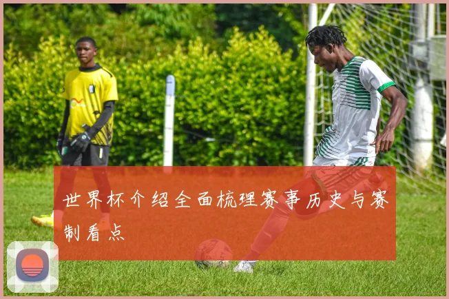 世界杯介绍全面梳理赛事历史与赛制看点